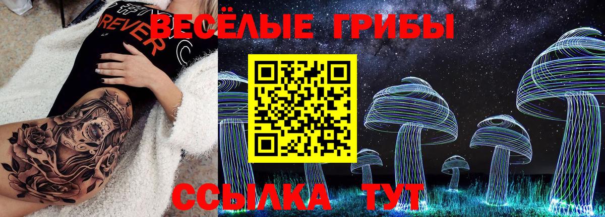 Галлюциногенные грибы Psilocybine cubensis  Галлюциногенные грибы Psilocybine cubensis  как найти   Вход с VPN  Узловая 
